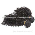 One Donor Perfect, High-quality but Cheap, Kinky Curly Brazilian Extension, Human Hair Piece